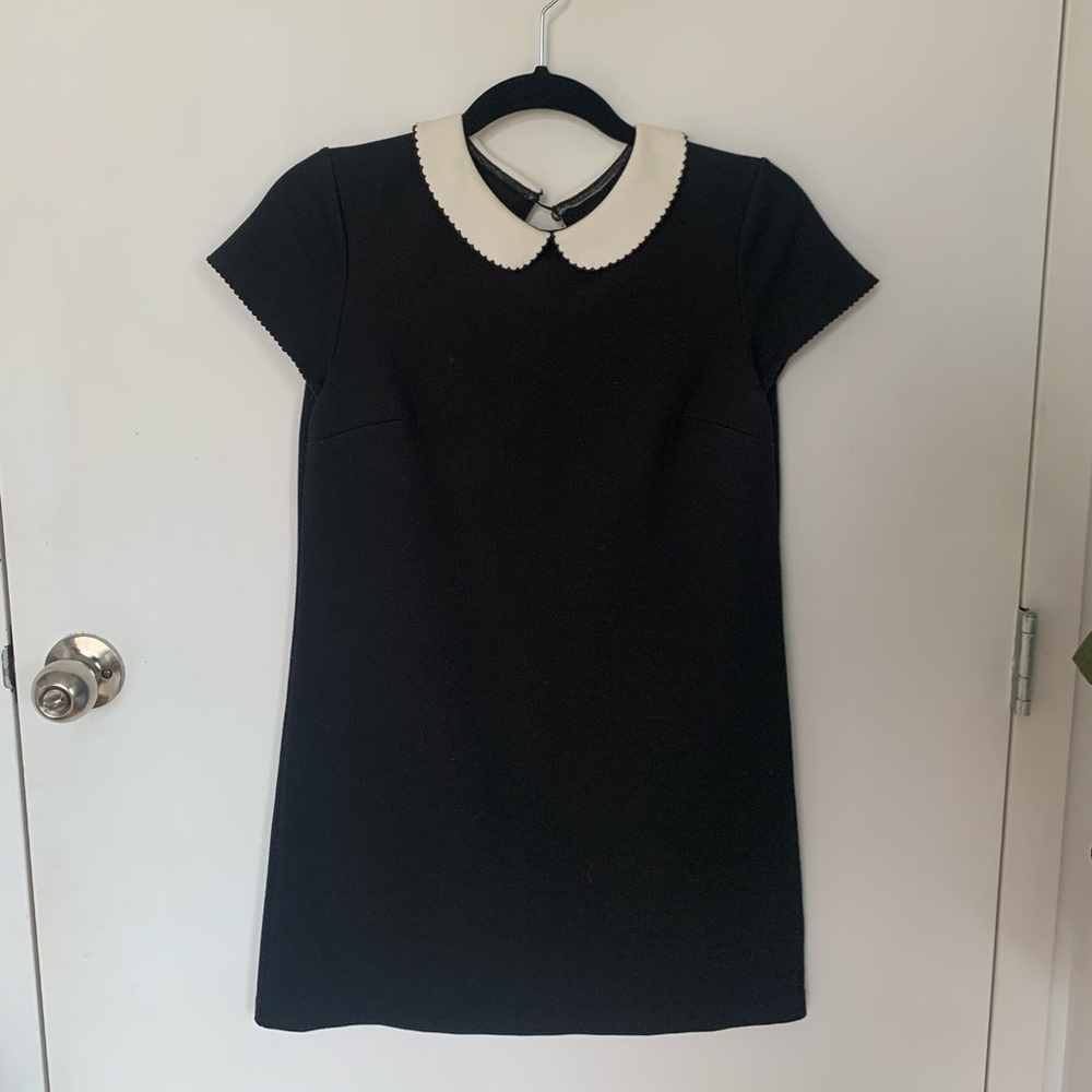 Black mini dress with Peter Pan collar